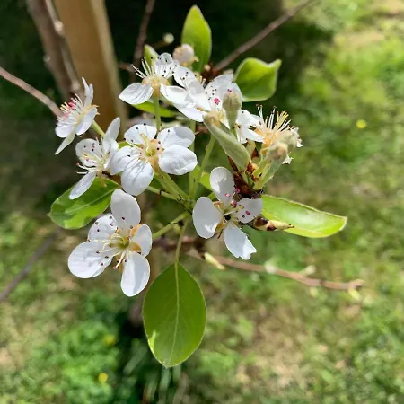 B&B Campanha Boutique Station 포르투