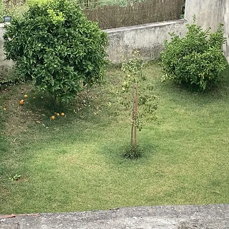 Campanha Boutique Station Porto